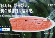 网课吃瓜文案,揭秘那些隐藏在屏幕背后的精彩瞬间