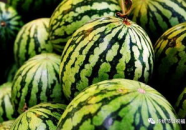 qq群吃网红的瓜最新,QQ群吃瓜事件背后的真相与内幕